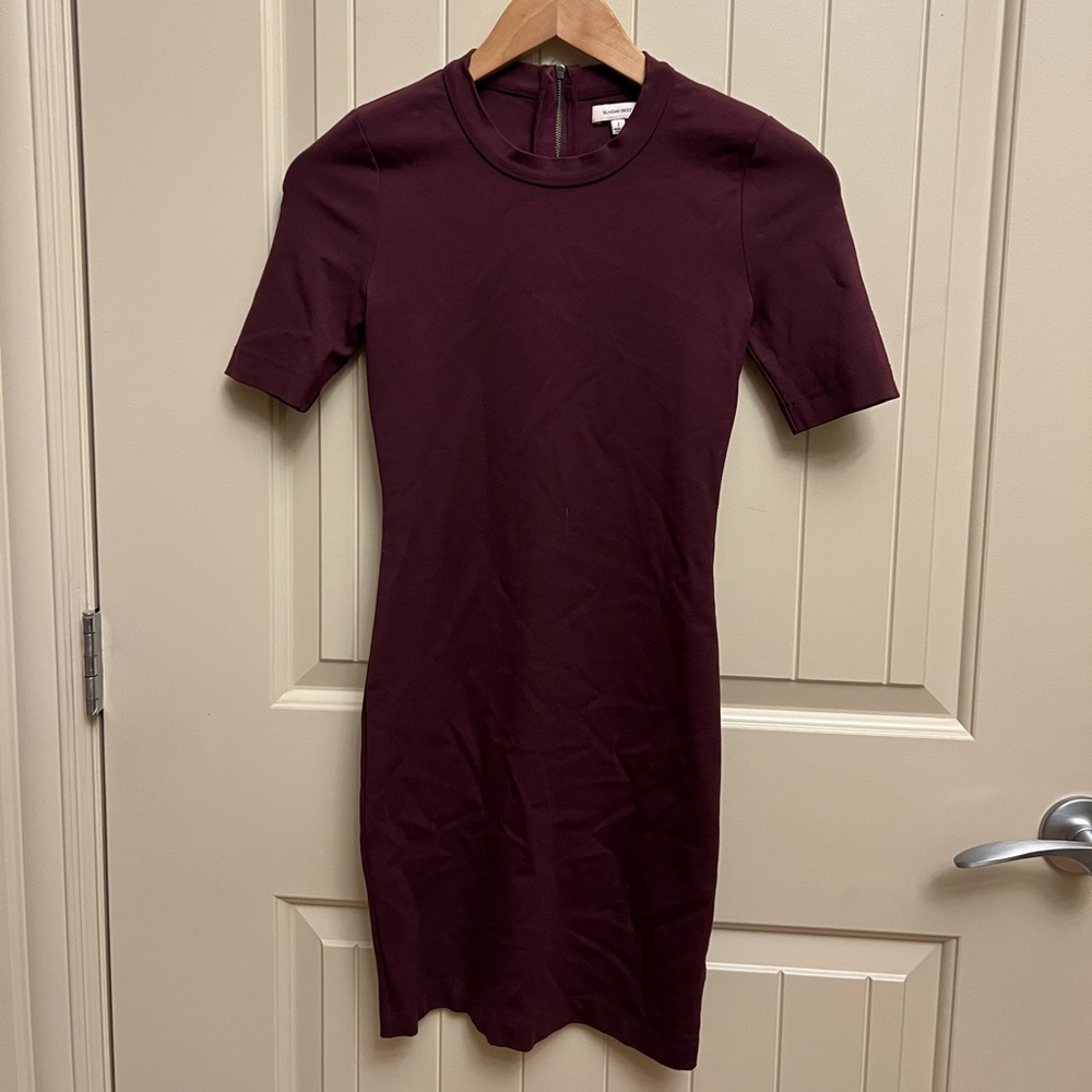 Aritzia Sunday Best dress